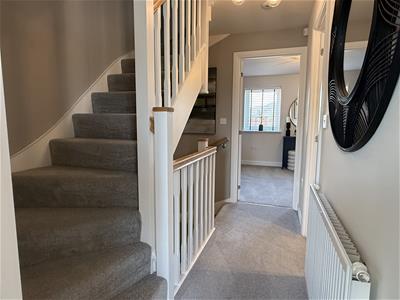 Picture 17